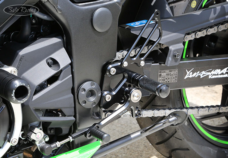 Ninja 300 hotsell foot pegs