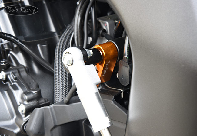 SATO RACING Shift Spindle Holder on a 2025 Honda CB1000 Hornet SATO RACING Shift Spindle Holder on a 2025 Honda CB1000 Hornet