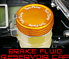 Fluid Cap