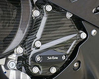 ENGINE COVER [LOWER R-SIDE] - BMW S1000RR