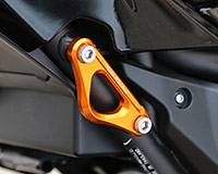 RACING HOOK [GOLD] - Kawasaki Ninja 650 / Z650 ('17- )